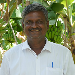 P. M. Murugesan